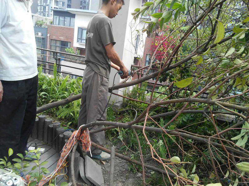 屋頂花園怎么裝修，樓頂花園裝修注意事